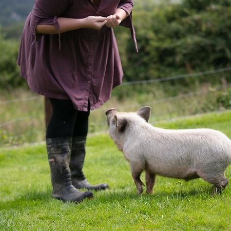 Cwtch Farm Bed & Breakfast Ystalyfera Luaran gambar