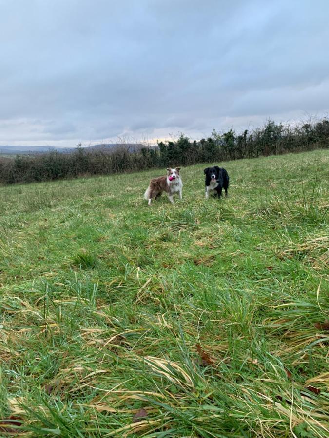 Cwtch Farm Bed & Breakfast Ystalyfera Luaran gambar