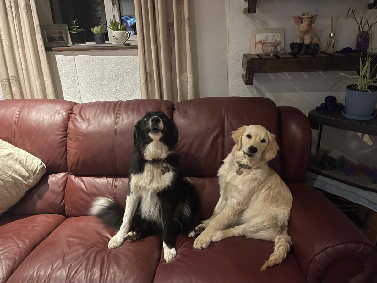 Cwtch Farm Bed & Breakfast Ystalyfera Luaran gambar