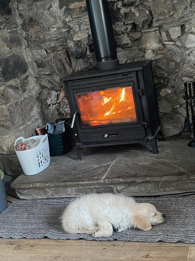 Cwtch Farm Bed & Breakfast Ystalyfera Luaran gambar